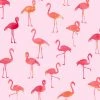 Jersey-Stoff - rosa-rot - Flamingo - 160 cm breit