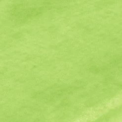 Stoff ORGANZA - grün - 150 cm breit