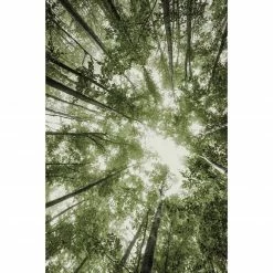 Frisee-Teppich - grün - 80x150 cm