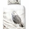 Biber-Bettwäsche - Eule - grau - 135x200 cm 2 Biber-Bettwäsche - Eule - grau - 135x200 cm -Heimtextilien Verkäufe 9003918000 1600Wx1600H