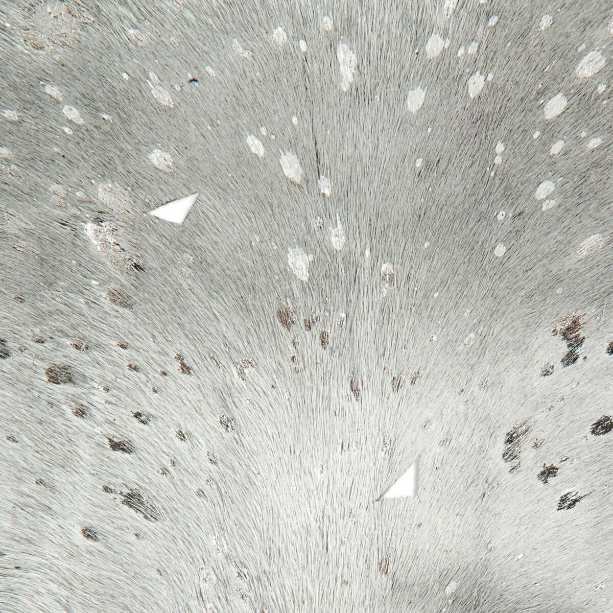 Lederteppich FLY 100 - grau-silber - 1,35-1,65m² 5 Lederteppich FLY 100 - grau-silber - 1,35-1,65m² – Bild 3