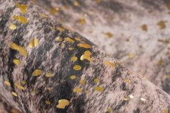 Teppich WESTERN 200 - gold-dunkelbraun - 130x170 cm -Heimtextilien Verkäufe 9004736300 03 1600Wx1600H