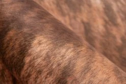 Teppich WESTERN 600 - hellbraun - 130x170 cm 8 Teppich WESTERN 600 - hellbraun - 130x170 cm -Heimtextilien Verkäufe 9004737100 03 1600Wx1600H