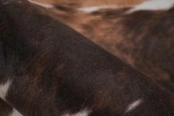 Teppich WESTERN 700 - dunkelbraun - 130x170 cm 8 Teppich WESTERN 700 - dunkelbraun - 130x170 cm -Heimtextilien Verkäufe 9004737300 03 1600Wx1600H