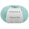 Handstrickgarn ALPACA BIG - mint - 100g -Heimtextilien Verkäufe 9004746000 1600Wx1600H