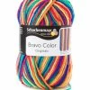 Handstrickgarn BRAVO COLOR - nizza color- 50g