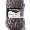 Handstrickgarn BRAVO COLOR - graphit color - 50g -Heimtextilien Verkäufe 9004758500 1600Wx1600H