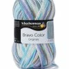 Handstrickgarn BRAVO COLOR - breeze color - 50g -Heimtextilien Verkäufe 9004760000 1600Wx1600H