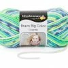 Handstrickgarn BRAVO BIG COLOR - fresh color- 200g 1 Handstrickgarn BRAVO BIG COLOR - fresh color- 200g -Heimtextilien Verkäufe 9004765900 1600Wx1600H