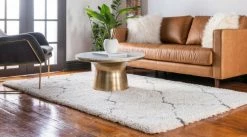 Teppich TEMARA SHAG 5 - elfenbein - 183x122 cm -Heimtextilien Verkäufe 9004903000 03 1600Wx1600H